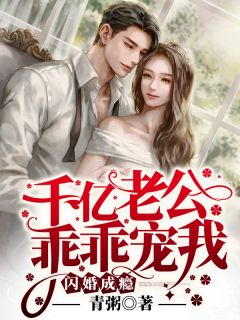 闪婚成瘾：千亿老公乖乖宠我