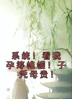 系统！看我孕筹帷幄！子凭母贵！