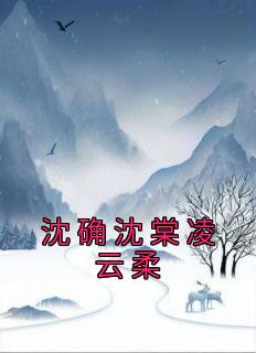 沈确沈棠凌云柔